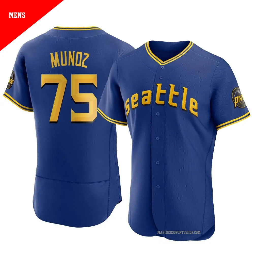 Men's ＃75 Andres Munoz Seattle Mariners Royal Authentic 2023 City Connect Jersey